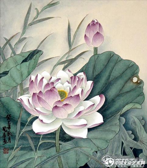 荷花.jpg