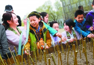 清明节插柳戴柳