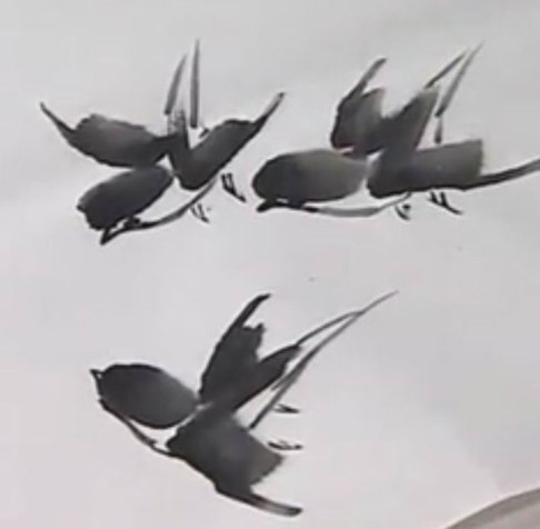 小燕子画法