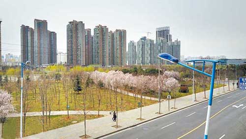 正在提升改造的荷香园.jpg