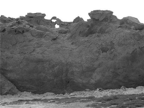 image018.jpg image018.jpg
