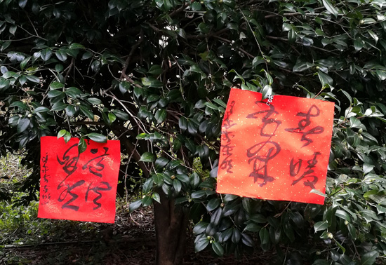 微信圖片_20020101002927.jpg