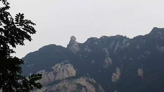 微信圖片_20200215163247.jpg