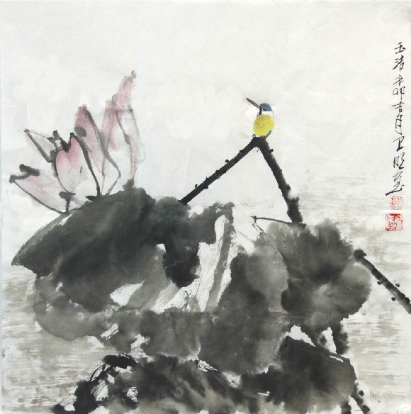 559c95a17f64e.jpg