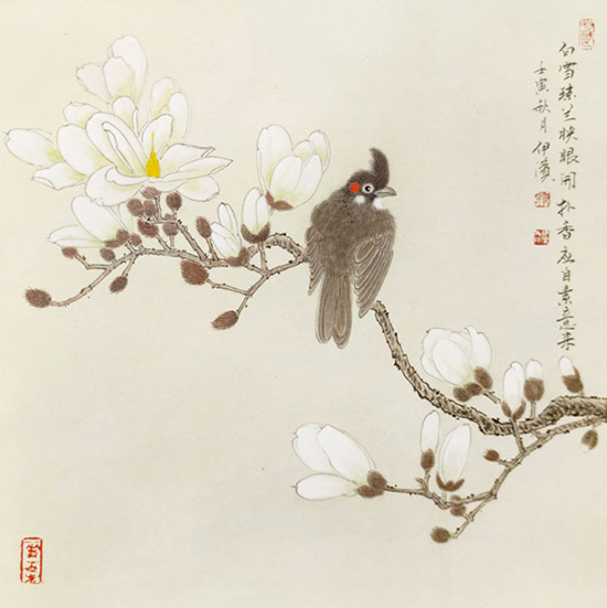 玉兰.jpg