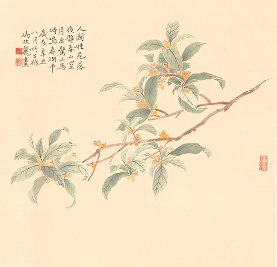 8桂花.jpg
