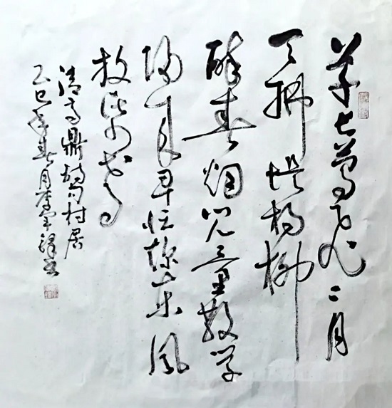 49.jpg