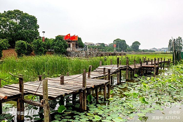 图片20.png 图片20.png