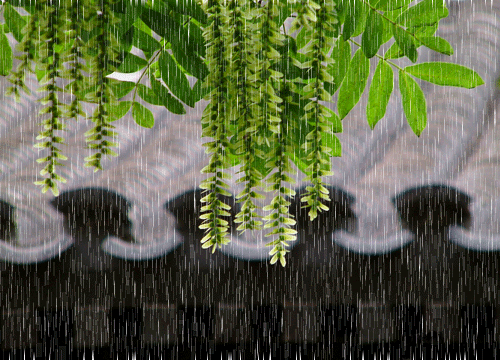 1.gif 1.gif