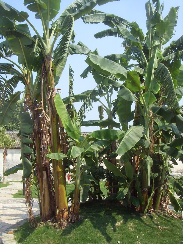 SDC13869.JPG