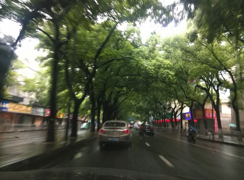 IMG_20140601_082219.jpg