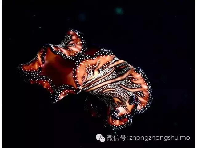640.webp (12).jpg