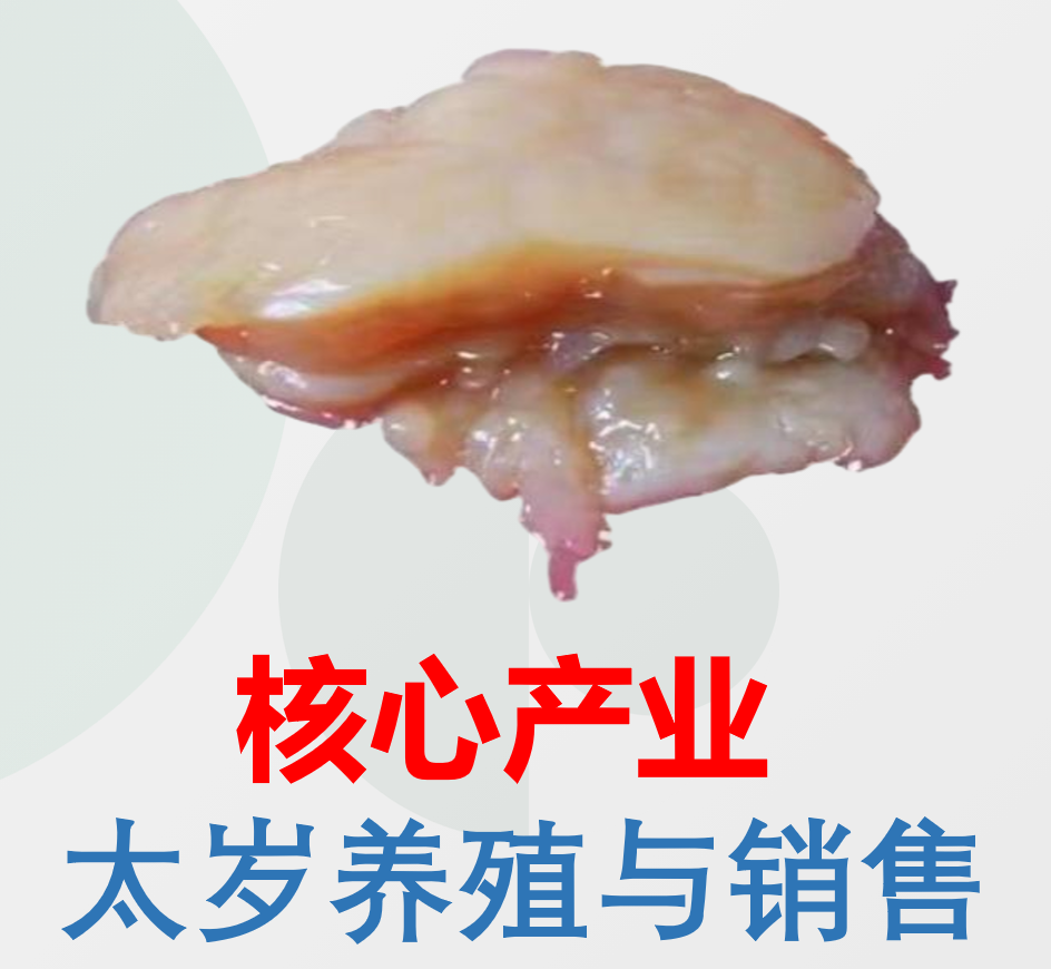 1789679800731841.png image.png