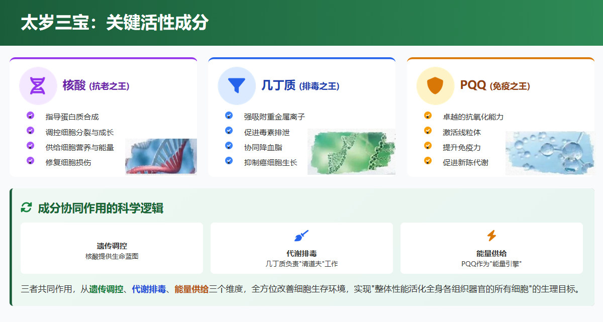 1789680377921918.png image.png