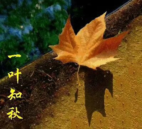 1_副本.jpg