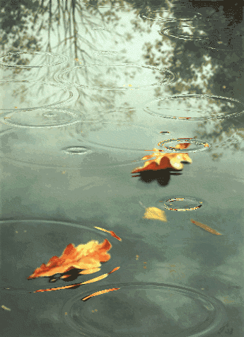 2.gif 2.gif
