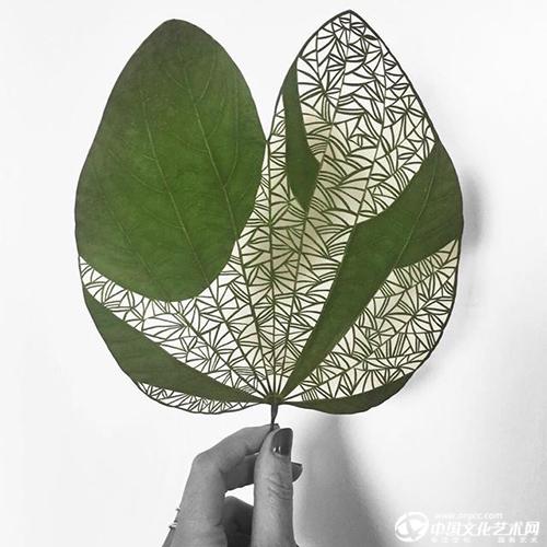 非遗技艺——叶雕再度绽放